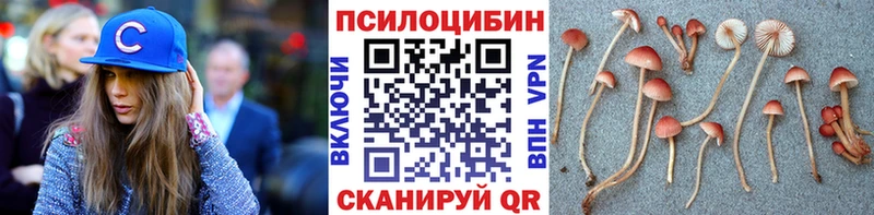 Псилоцибиновые грибы MAGIC MUSHROOMS  как найти   Электрогорск 