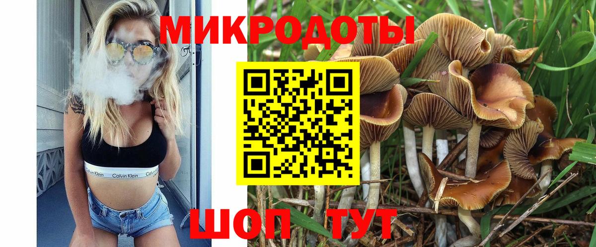 что такое   Галлюциногенные грибы Psilocybe  Электрогорск  Вход с VPN  Псилоцибиновые грибы мицелий 
