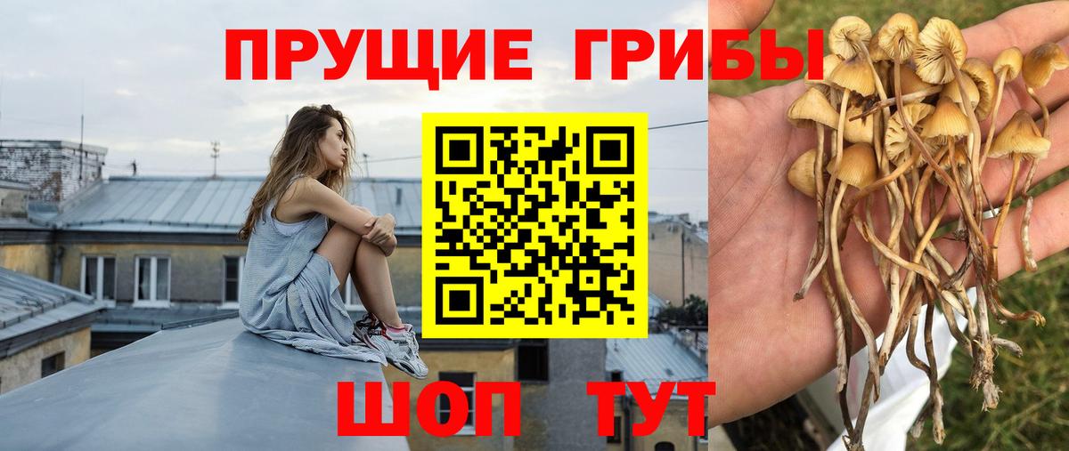 Галлюциногенные грибы мухоморы Электрогорск